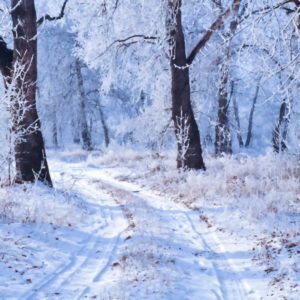 Winter Wonderland – Felix Bernard, Online Pianist, Virtual Piano