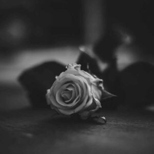 Written On The Sky (Max Richter), Best Online Piano Keyboard, Virtual Piano